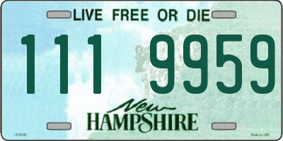 NH license plate 1119959