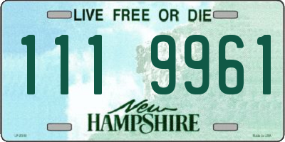 NH license plate 1119961