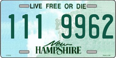 NH license plate 1119962
