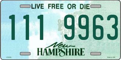NH license plate 1119963