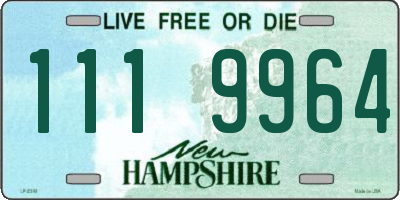 NH license plate 1119964