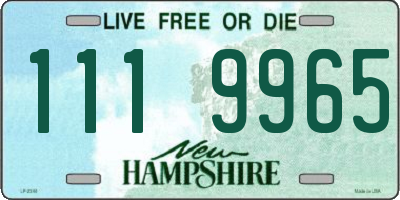 NH license plate 1119965