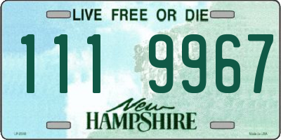 NH license plate 1119967