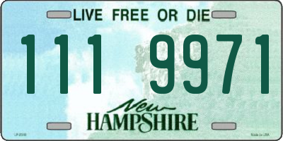 NH license plate 1119971