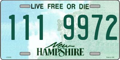 NH license plate 1119972