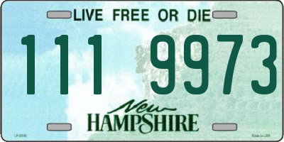 NH license plate 1119973
