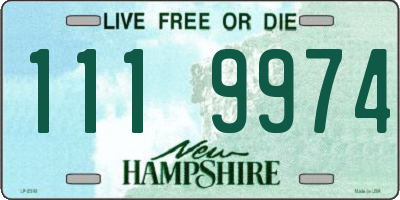 NH license plate 1119974