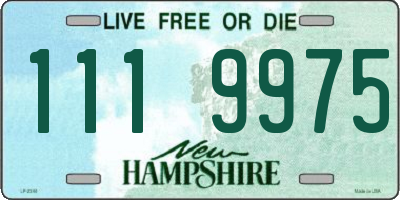 NH license plate 1119975