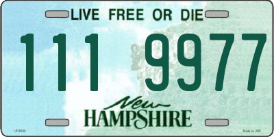 NH license plate 1119977