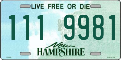 NH license plate 1119981