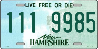 NH license plate 1119985
