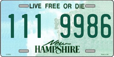 NH license plate 1119986