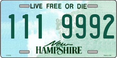 NH license plate 1119992