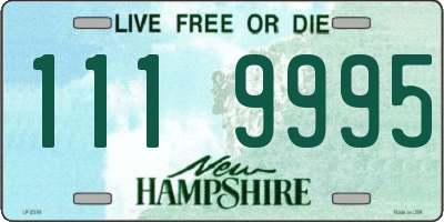 NH license plate 1119995