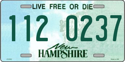 NH license plate 1120237