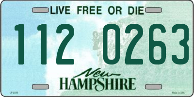 NH license plate 1120263