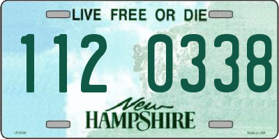 NH license plate 1120338