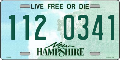 NH license plate 1120341