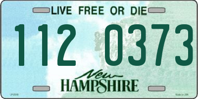 NH license plate 1120373