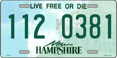 NH license plate 1120381