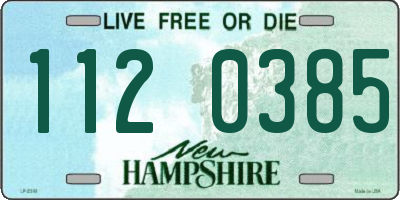 NH license plate 1120385