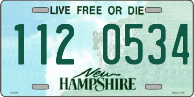 NH license plate 1120534
