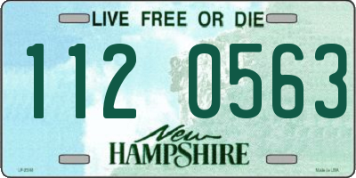 NH license plate 1120563