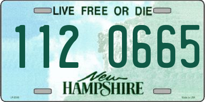 NH license plate 1120665