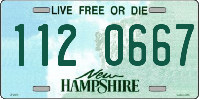 NH license plate 1120667
