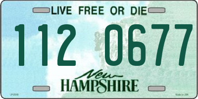 NH license plate 1120677