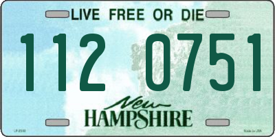 NH license plate 1120751
