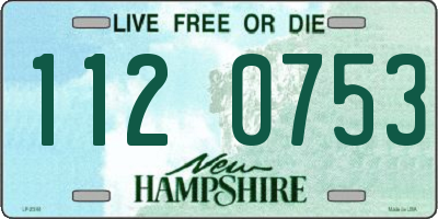 NH license plate 1120753