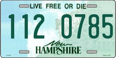 NH license plate 1120785
