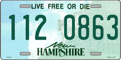NH license plate 1120863