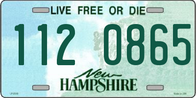 NH license plate 1120865