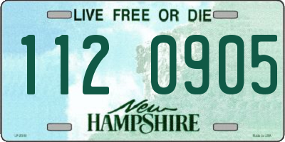 NH license plate 1120905