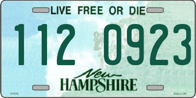 NH license plate 1120923