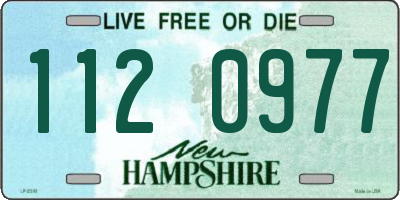 NH license plate 1120977