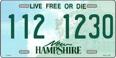 NH license plate 1121230