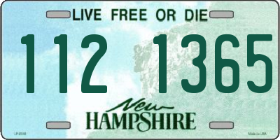 NH license plate 1121365