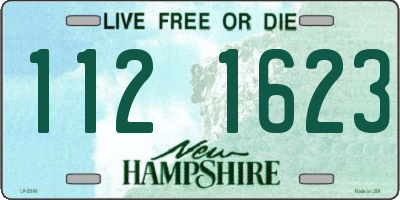 NH license plate 1121623