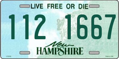 NH license plate 1121667