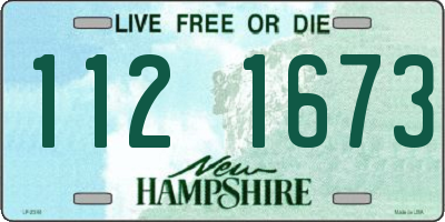 NH license plate 1121673