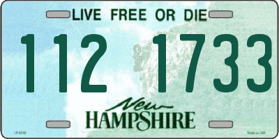 NH license plate 1121733