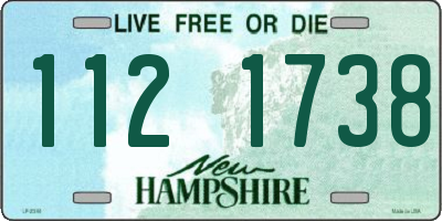 NH license plate 1121738