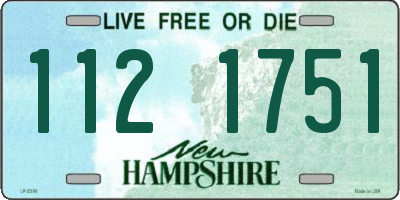 NH license plate 1121751