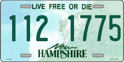 NH license plate 1121775