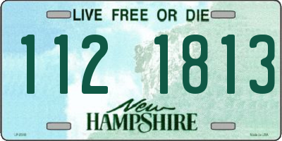 NH license plate 1121813
