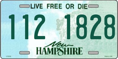 NH license plate 1121828