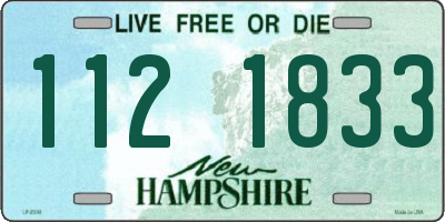 NH license plate 1121833